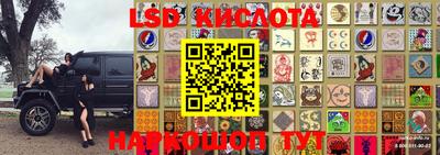 прущие крисы Моздок