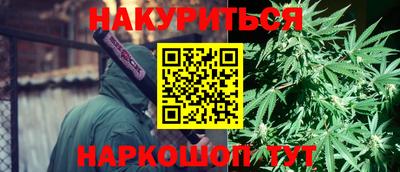 прущие крисы Моздок