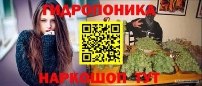 apvp Можга