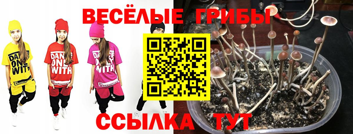 Конопля Удомля