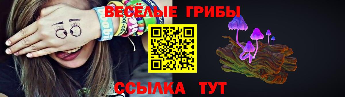 Удомля  Галлюциногенные грибы ЛСД  Вход с VPN 